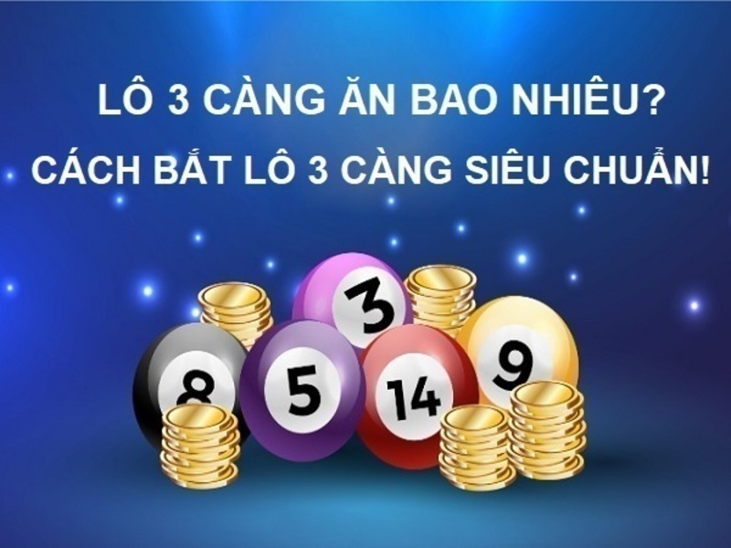 lo-3-cang-an-bao-nhieu