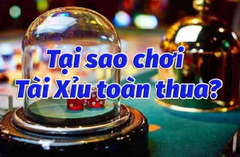 tai-sao-choi-tai-xiu-online-toan-thua